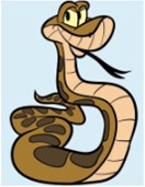 Snakebite Advise and Emergency Services